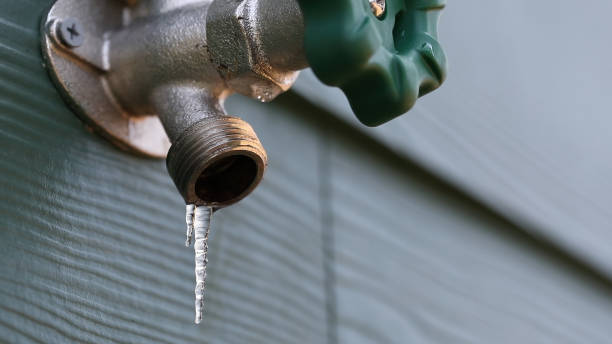 Best Commercial Plumbing Services  in Manatee Road, FL